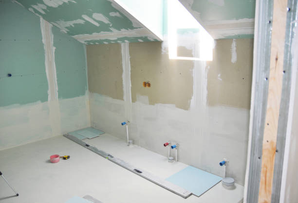 Best Mold Odor Removal Services  in Roseto, PA