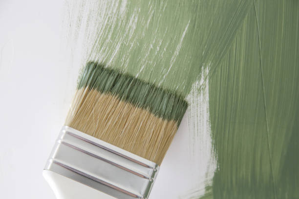 Best Residential Mold Inspection & Testing  in Roseto, PA