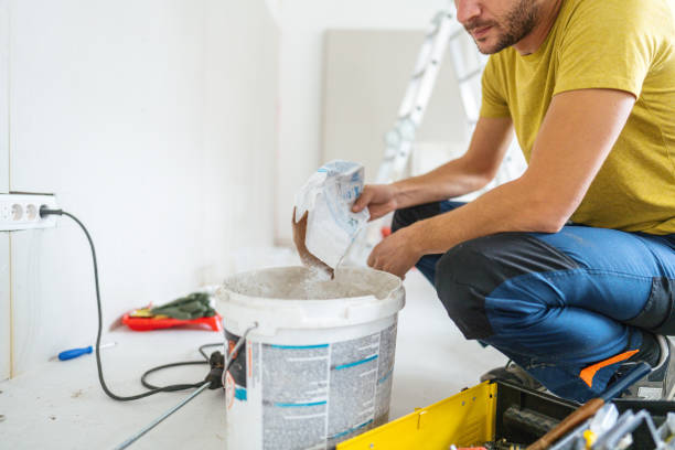 Mold Odor Removal Services in Roseto, PA