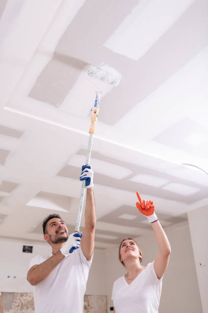 Best Attic Mold Removal  in Roseto, PA