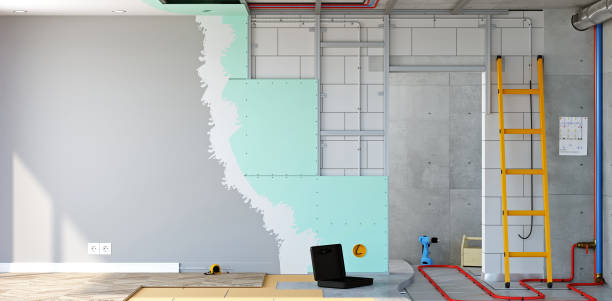Best Basement Mold Removal  in Roseto, PA