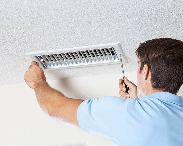 Best Mold Removal for HVAC Installations  in Roseto, PA